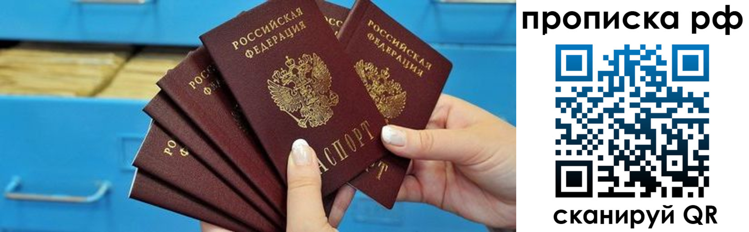прописка поиск в Болотном